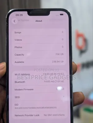 Apple iPhone 13 Pro Max 256 GB Gray