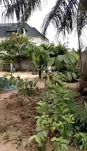 Half Plot of Land in Abijo GRA