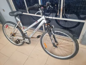 Foreign Used Adult RALEIGH Sport Bicycle at Give Away Price
