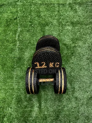 12kg Padded Dumbbells