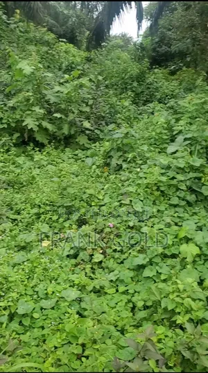Dream Land Estate, an Amazing 100×100 Plot — Own Your Future!