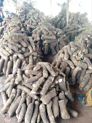 Agricultural Products