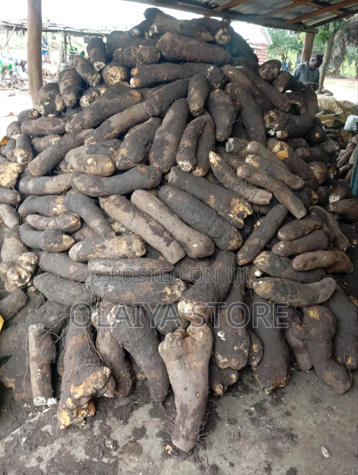Agricultural Products