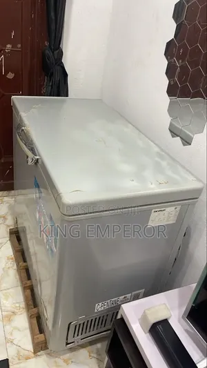 Skyrun Freezer for Sale in Good Condition