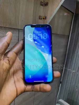 Apple iPhone 12 64 GB Blue