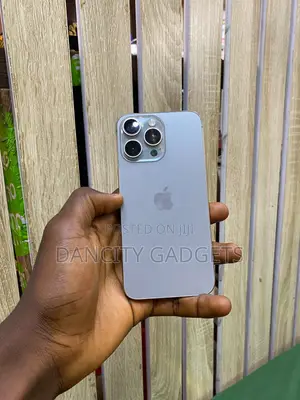 Apple iPhone 15 Pro Max 256 GB Silver