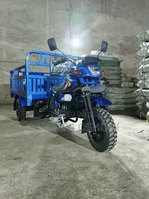New Tricycle 2026 Blue