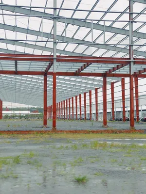 Custom Commercial Shed Development