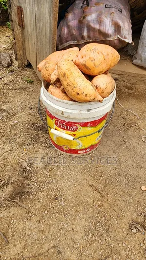 Orange Fleshed Sweet Potato