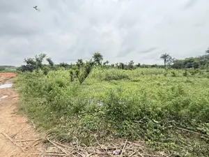 FCDA CofO Approval
