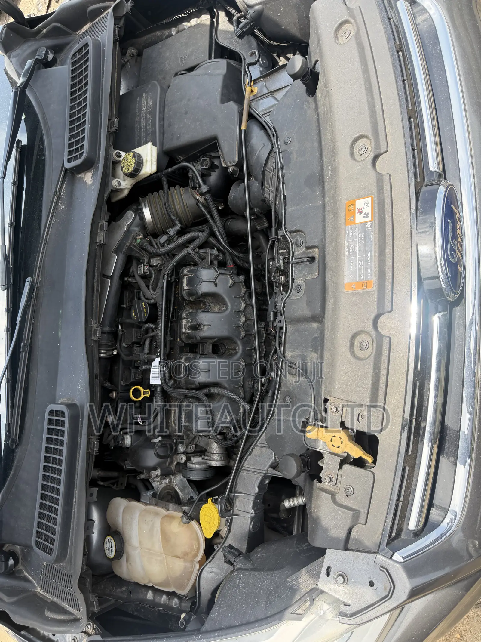 Ford Escape Limited 2012 Gray