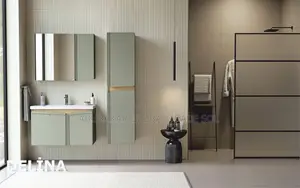 Bathroom Cabinets (Bulk Sales)
