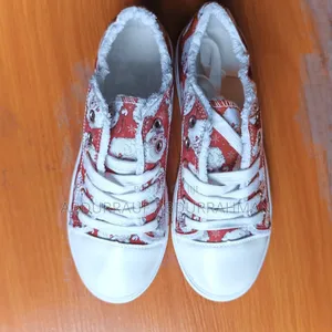 Canvas and Sneakers
