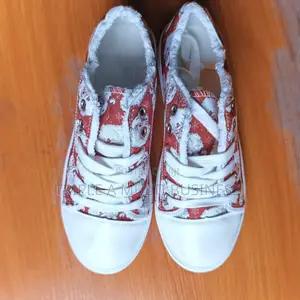 Canvas and Sneakers