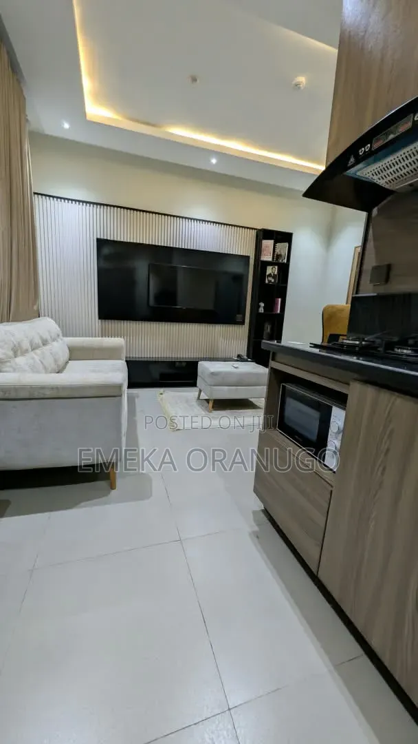 Luxury One Bedroom Apartment