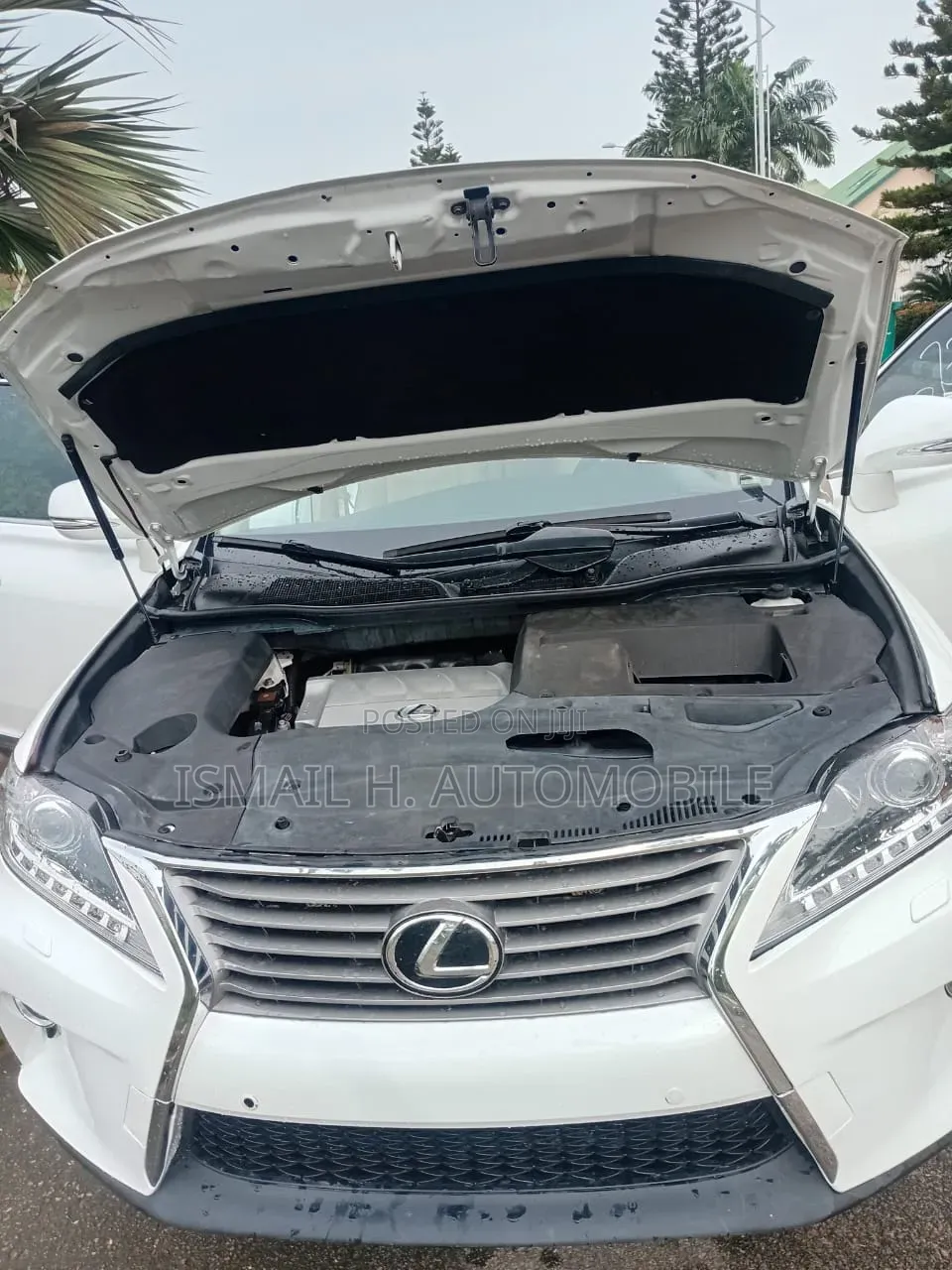 Lexus RX 2014 White