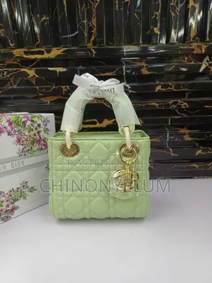 Stylish & Elegant Fashion Bag