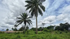 8 Plot of Land