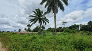 8 Plots of Land for Sale Umuahia Abia State