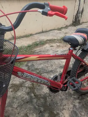 Bicycle & Support for Your Kids