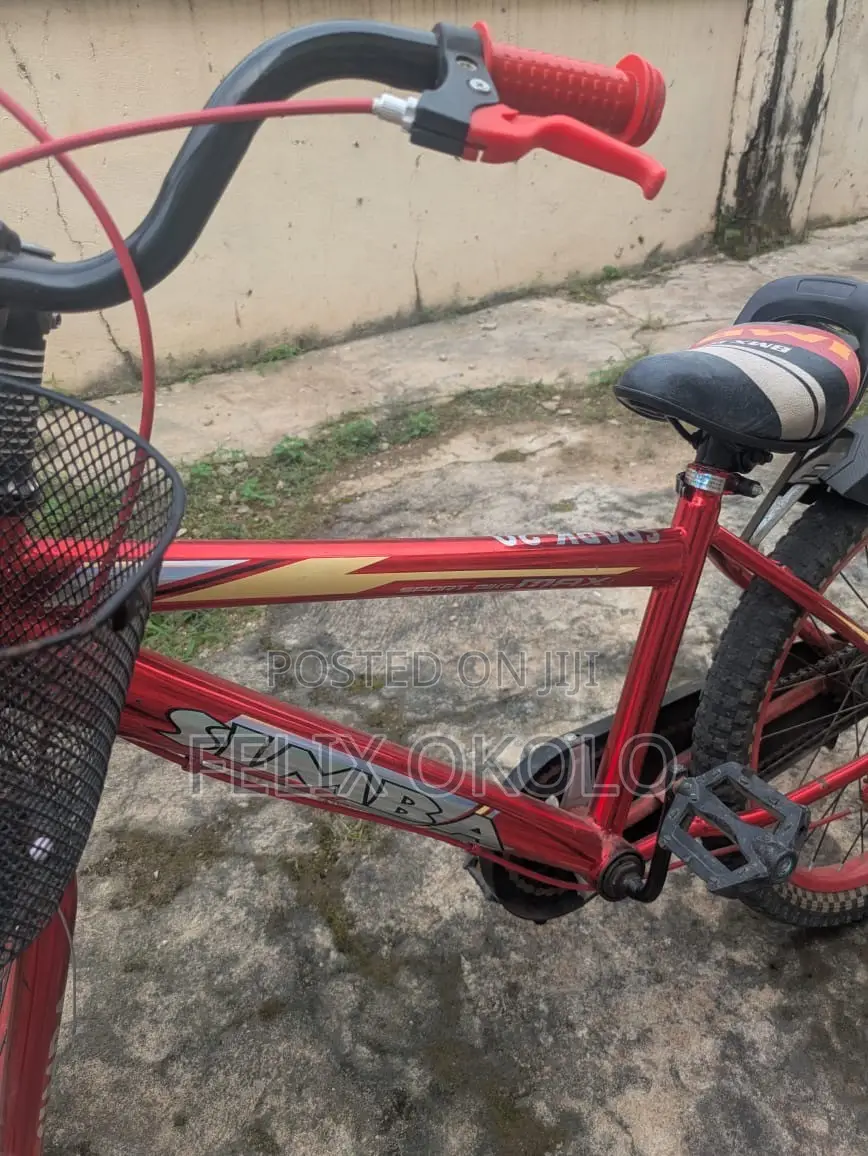 Bicycle & Support for Your Kids