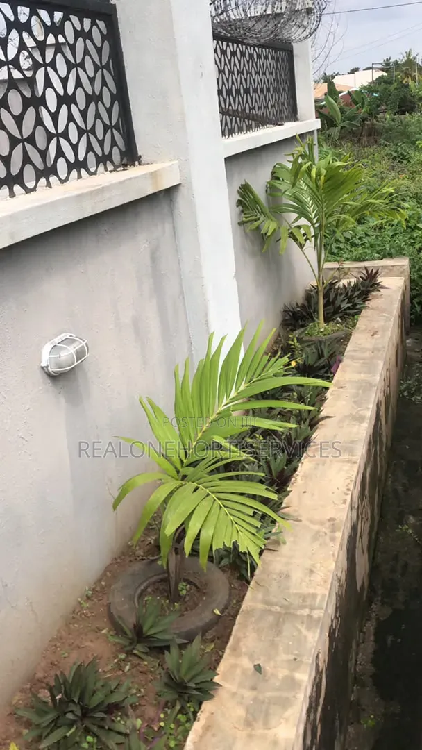 House Design With Ornamental Plant