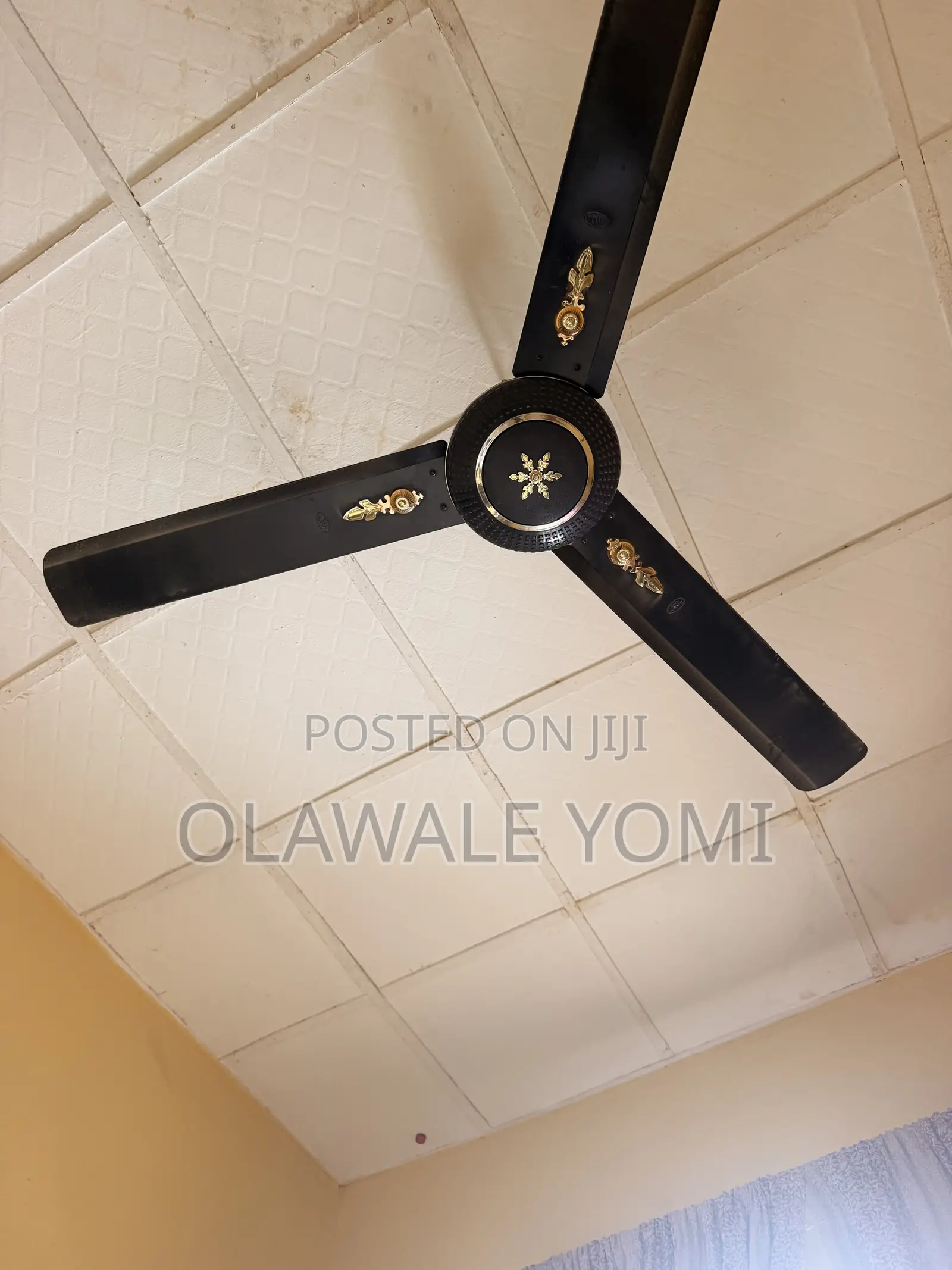 Orl Ceiling Fan