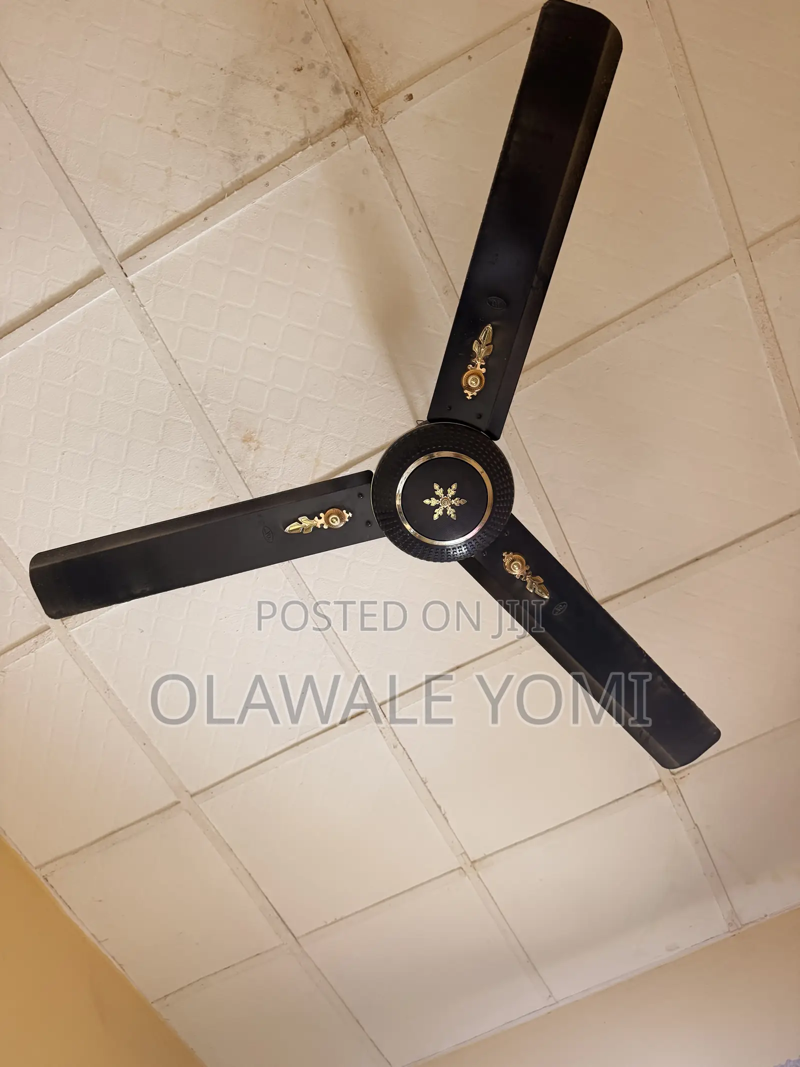 Orl Ceiling Fan