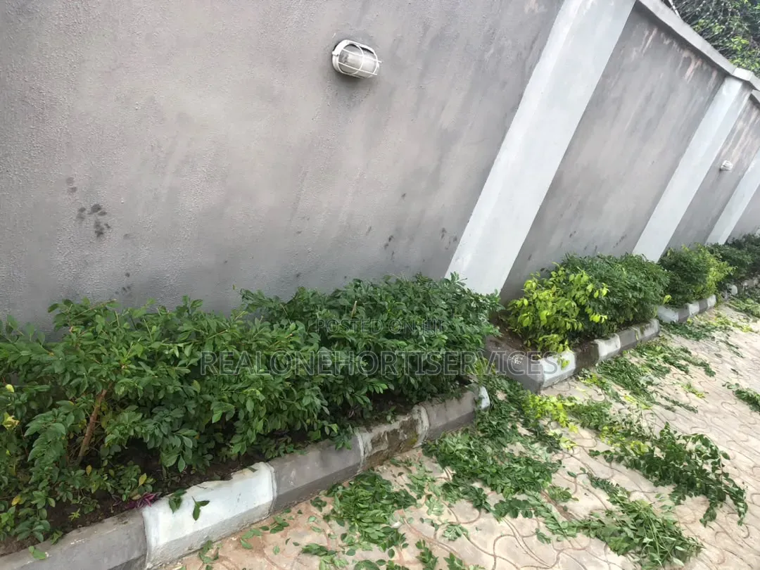 House Design With Ornamental Plant
