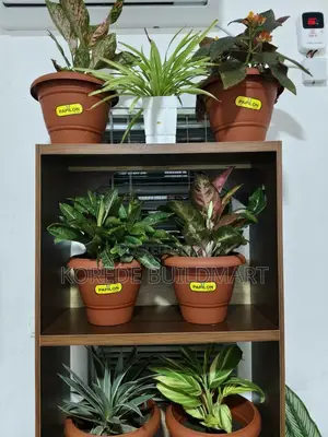 Small Size Flower Pots