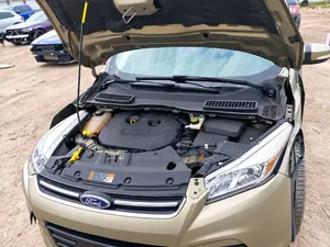 Ford Escape SE 2013 Brown