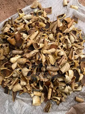 Bokoto/Dried Ponmo