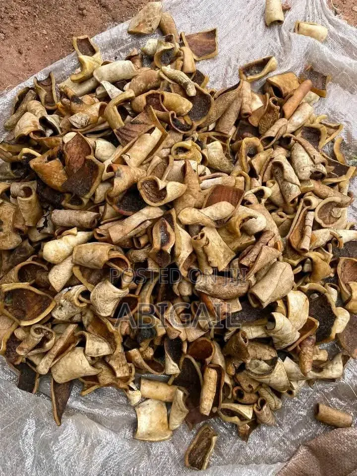Bokoto/Dried Ponmo