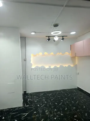 Painter With Experience