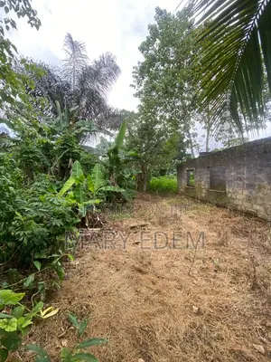 A Well Surveyed and Secured Landed Property Is Up for Sale in Uyo
