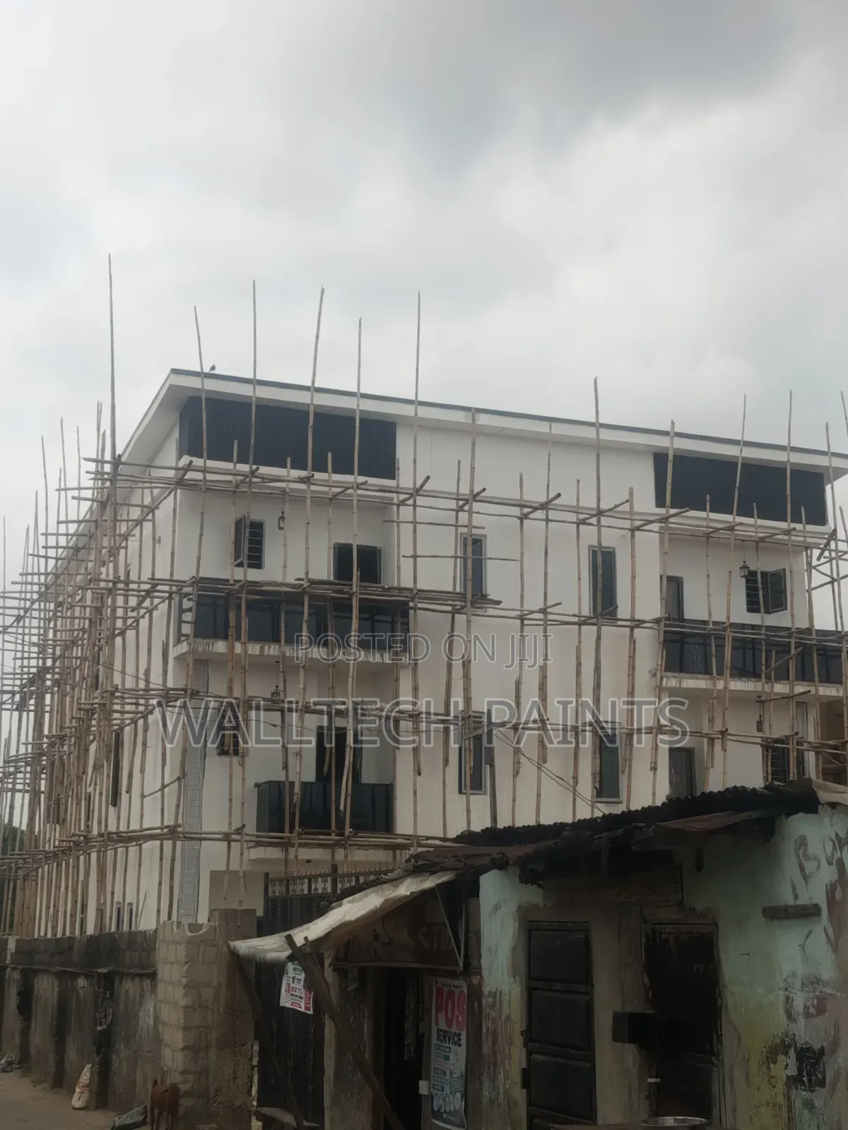 Painter With Experience