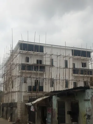 Painter With Experience