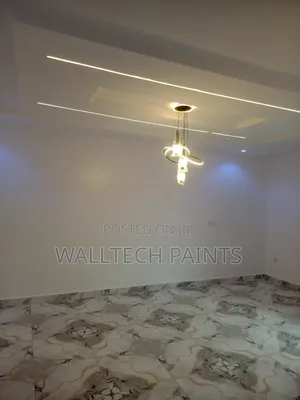 Painter With Experience