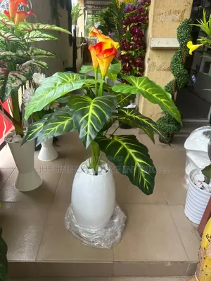 Flower Plant and Vase