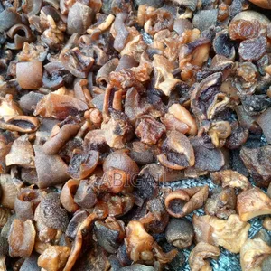 Bokoto/Dried Ponmo
