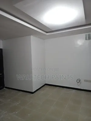 PAINTER Interior/Exterior