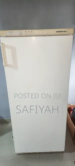 Standing Freezer