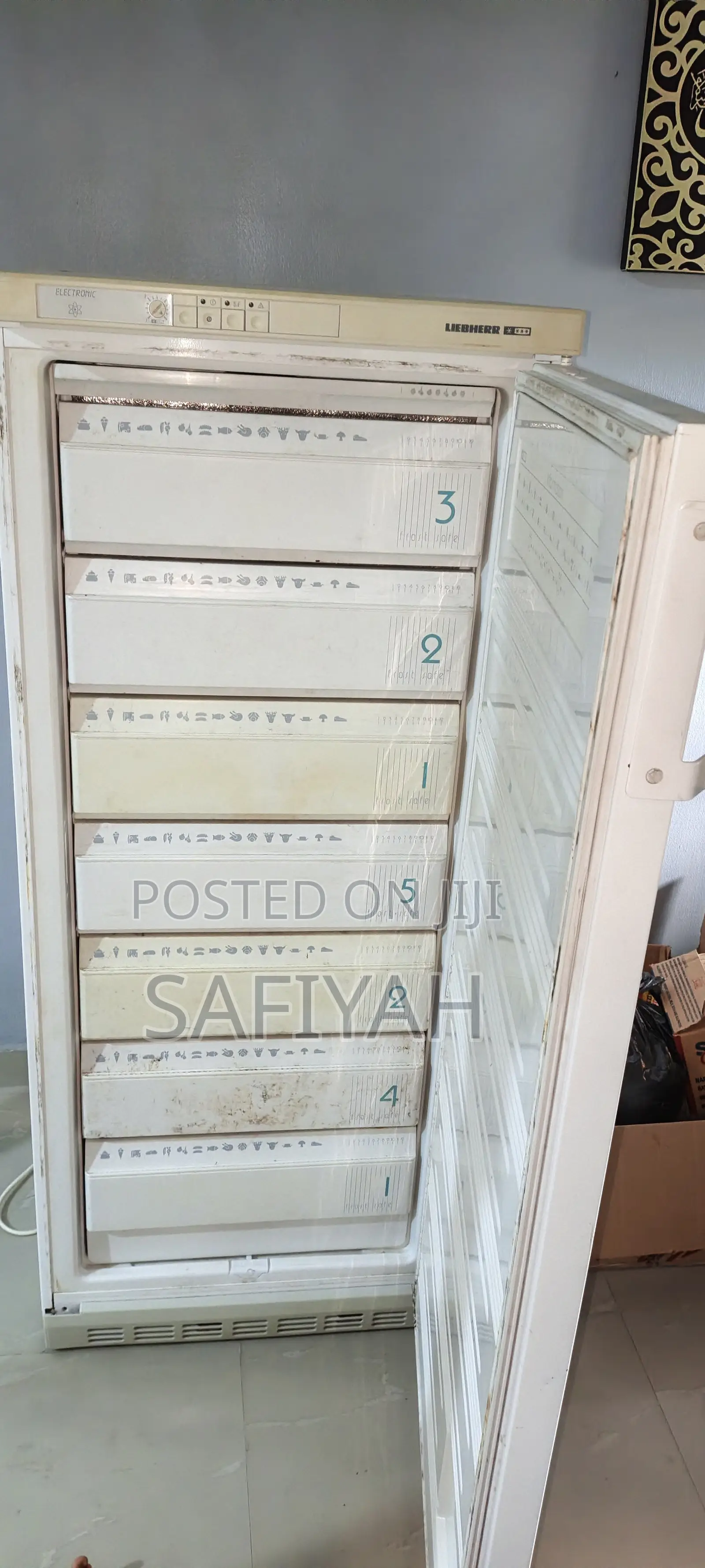 Standing Freezer