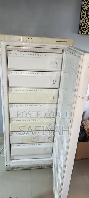 Standing Freezer