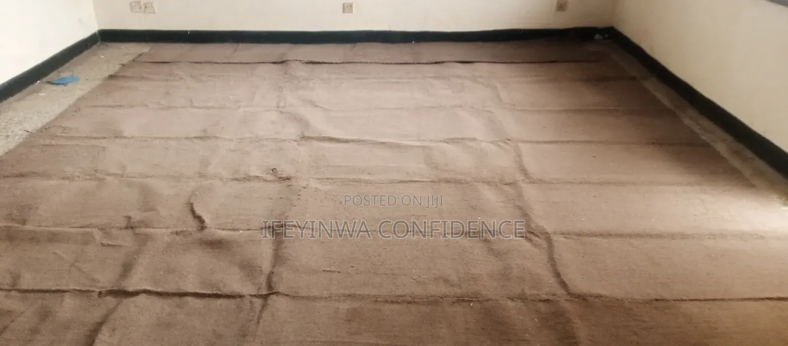 Large Brown Plush Area Rug