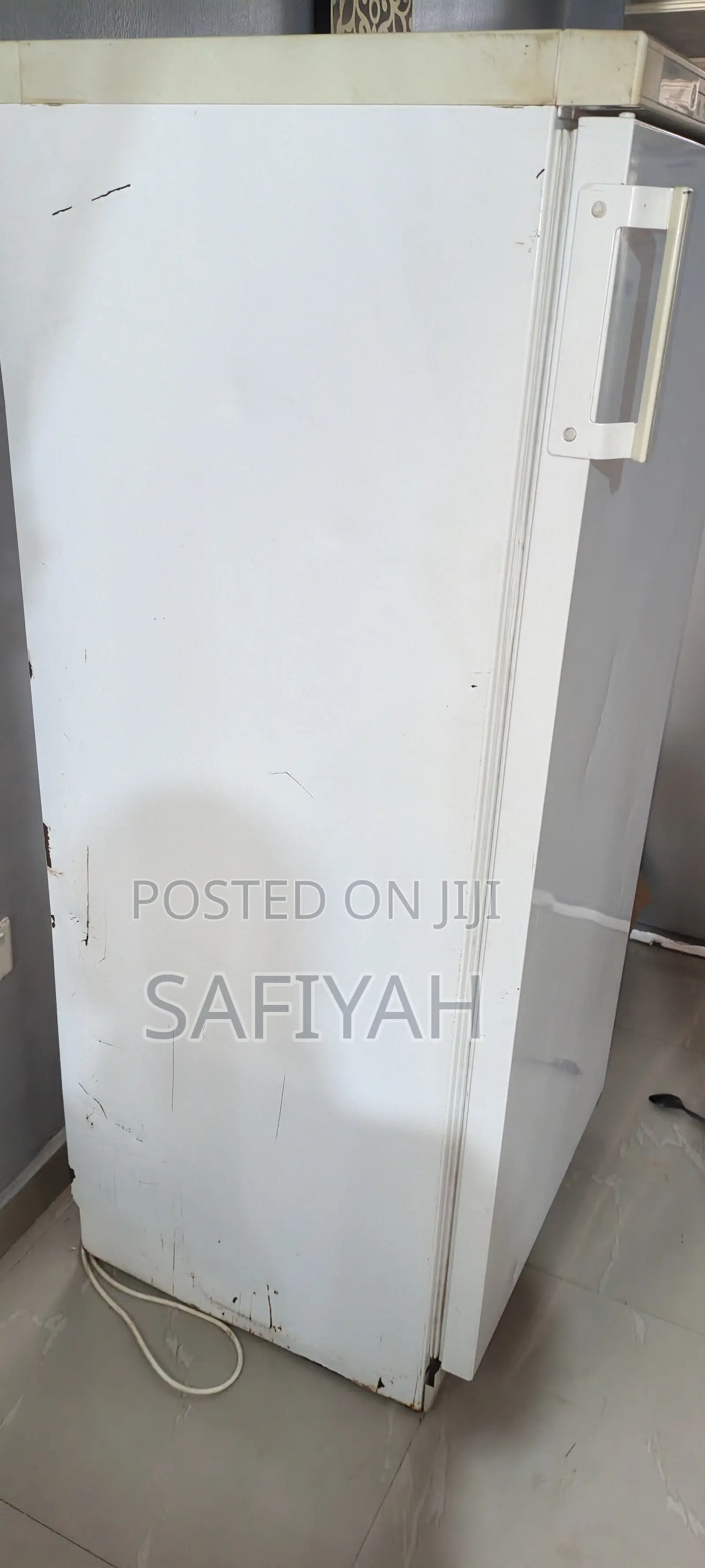 Standing Freezer