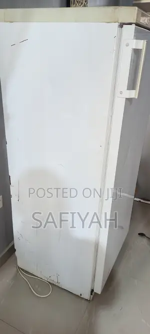 Standing Freezer