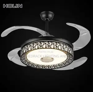 2-in-1 Fan + Light - Holin Brand!