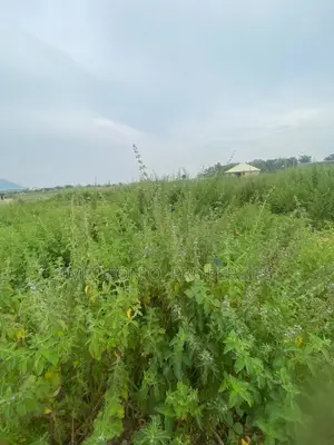 Filling Station Land for Sale in Chikakore Kubwa at Government Layout