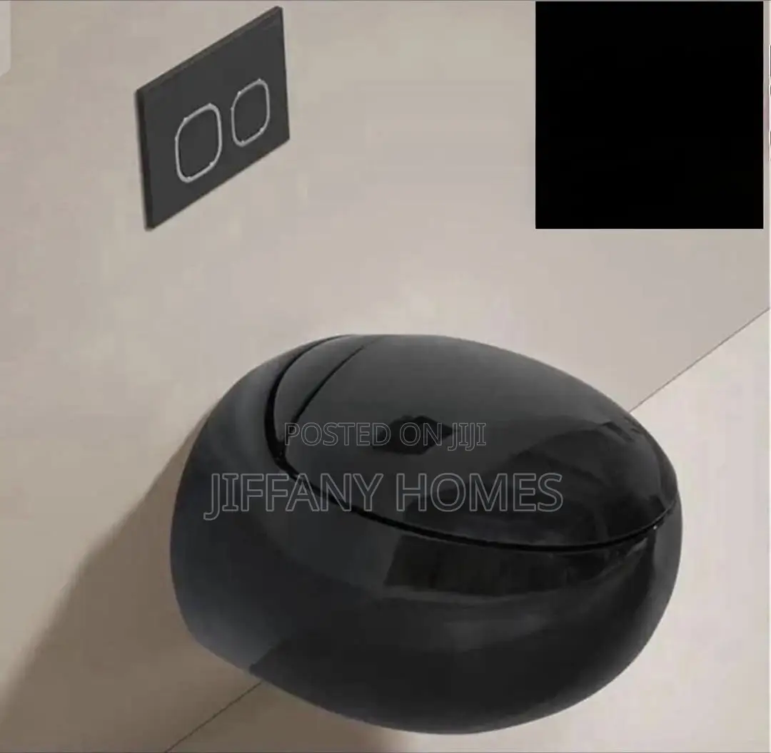 Quality Egg Shape Black Wall Hung WC